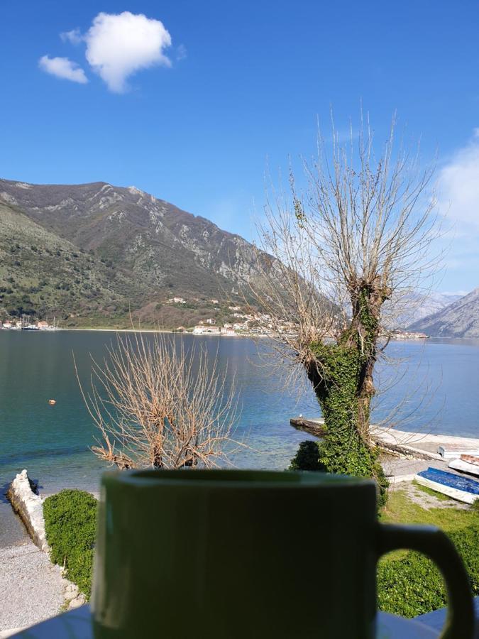 Savic Apartments Kotor Exterior photo